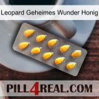 Leopard Secret Miracle Honey cialis1